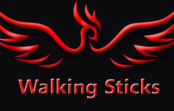 Epoxy Walking Sticks